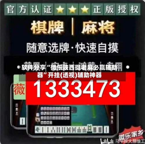 软件分享“微乐陕西捉老麻必赢辅助器”开挂(透视)辅助神器-第2张图片