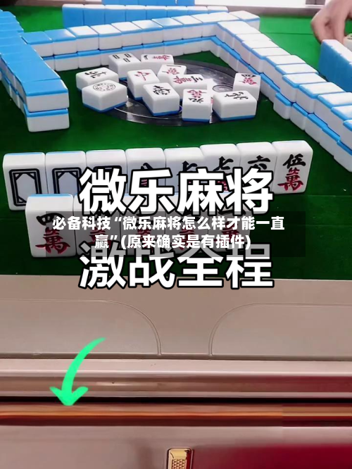 必备科技“微乐麻将怎么样才能一直赢	”(原来确实是有插件)-第2张图片