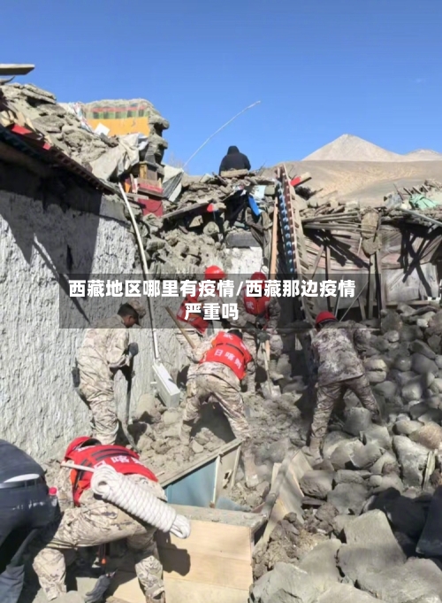 西藏地区哪里有疫情/西藏那边疫情严重吗-第3张图片