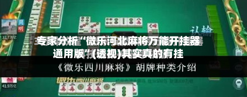 专家分析“微乐河北麻将万能开挂器通用版	”(透视)其实真的有挂-第2张图片