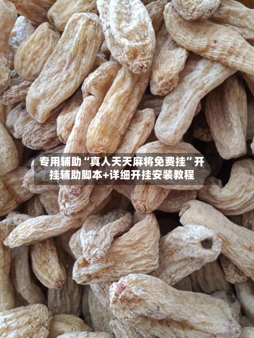 专用辅助“真人天天麻将免费挂”开挂辅助脚本+详细开挂安装教程