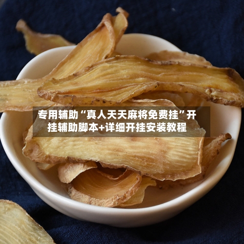 专用辅助“真人天天麻将免费挂”开挂辅助脚本+详细开挂安装教程-第3张图片