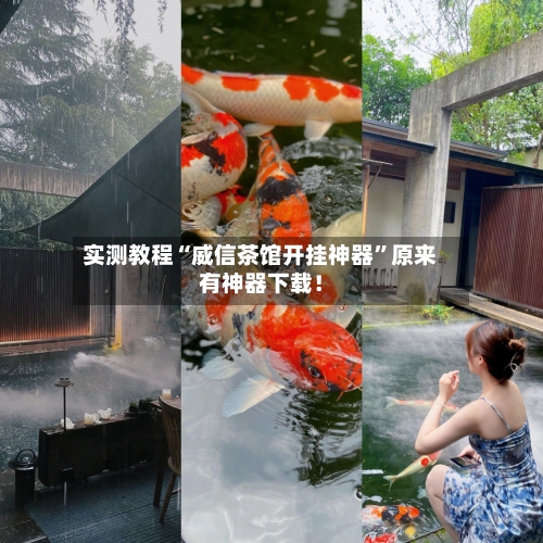 实测教程“威信茶馆开挂神器”原来有神器下载！-第2张图片