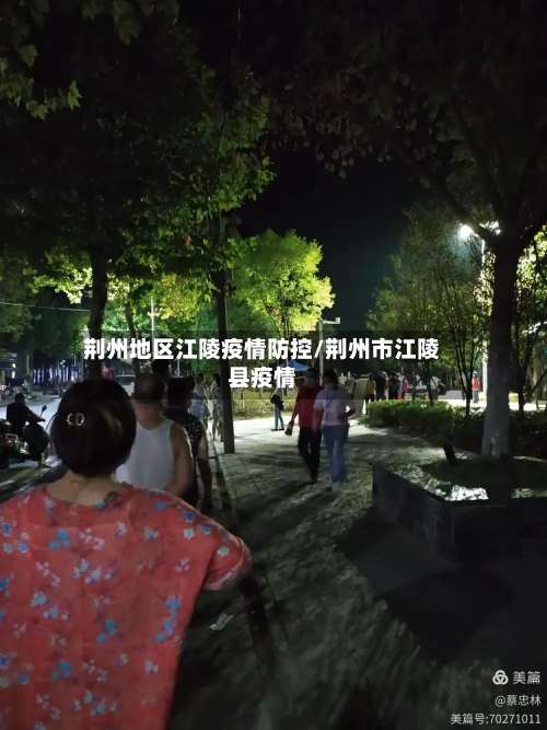 荆州地区江陵疫情防控/荆州市江陵县疫情-第3张图片