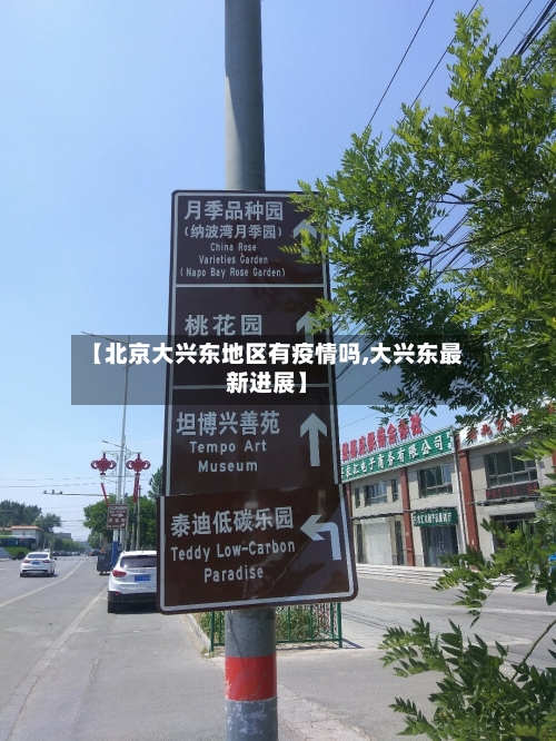 【北京大兴东地区有疫情吗,大兴东最新进展】-第3张图片