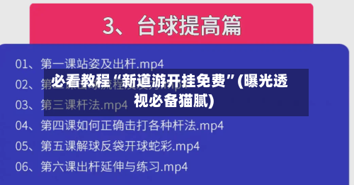 必看教程“新道游开挂免费”(曝光透视必备猫腻)-第2张图片