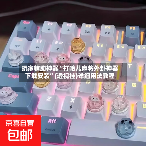 玩家辅助神器“打哈儿麻将外卦神器下载安装”(透视挂)详细用法教程-第2张图片