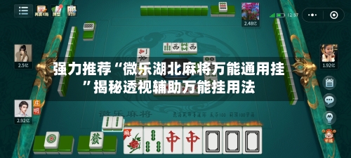 强力推荐“微乐湖北麻将万能通用挂”揭秘透视辅助万能挂用法-第2张图片