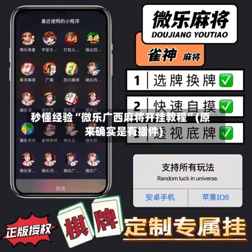秒懂经验“微乐广西麻将开挂教程”(原来确实是有插件)-第3张图片