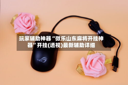 玩家辅助神器“微乐山东麻将开挂神器	”开挂(透视)最新辅助详细-第2张图片