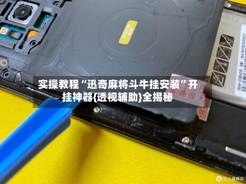 实操教程“迅奇麻将斗牛挂安装”开挂神器{透视辅助}全揭秘-第2张图片