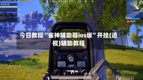 今日教程“雀神辅助器ios版”开挂(透视)辅助教程-第3张图片