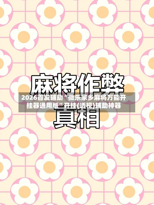 2026首发辅助“微乐家乡麻将万能开挂器通用版	”开挂(透视)辅助神器-第3张图片