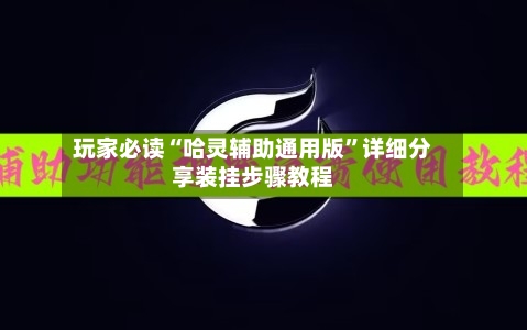 玩家必读“哈灵辅助通用版”详细分享装挂步骤教程