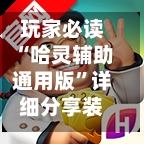 玩家必读“哈灵辅助通用版	”详细分享装挂步骤教程-第2张图片