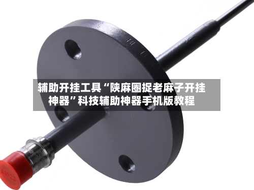 辅助开挂工具“陕麻圈捉老麻子开挂神器”科技辅助神器手机版教程-第2张图片