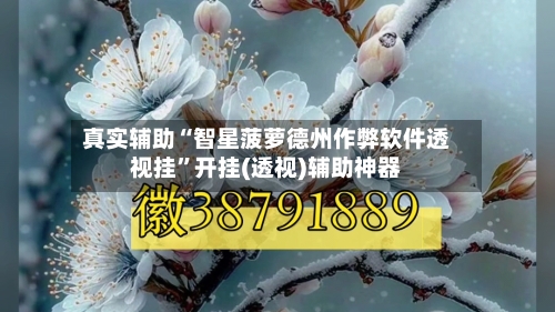 真实辅助“智星菠萝德州作弊软件透视挂”开挂(透视)辅助神器-第3张图片