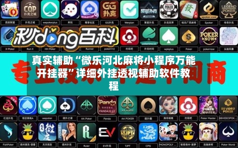 真实辅助“微乐河北麻将小程序万能开挂器”详细外挂透视辅助软件教程-第3张图片