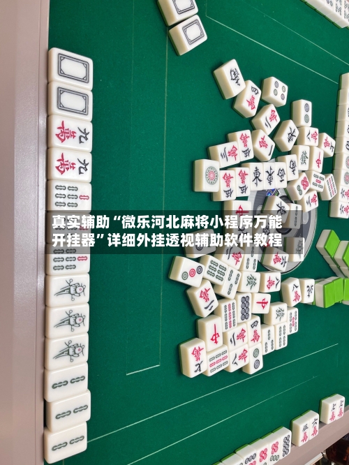 真实辅助“微乐河北麻将小程序万能开挂器	”详细外挂透视辅助软件教程-第2张图片