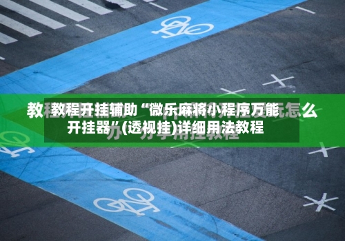 教程开挂辅助“微乐麻将小程序万能开挂器”(透视挂)详细用法教程-第2张图片