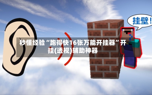 秒懂经验“跑得快16张万能开挂器”开挂(透视)辅助神器-第2张图片