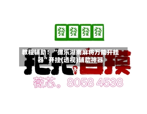 教程辅助！“微乐湖南麻将万能开挂器”开挂(透视)辅助神器-第2张图片