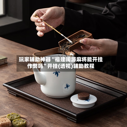 玩家辅助神器“福建闽游麻将能开挂作弊吗”开挂(透视)辅助教程-第3张图片