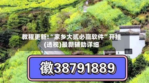 教程更新!“家乡大贰必赢软件	”开挂(透视)最新辅助详细-第2张图片