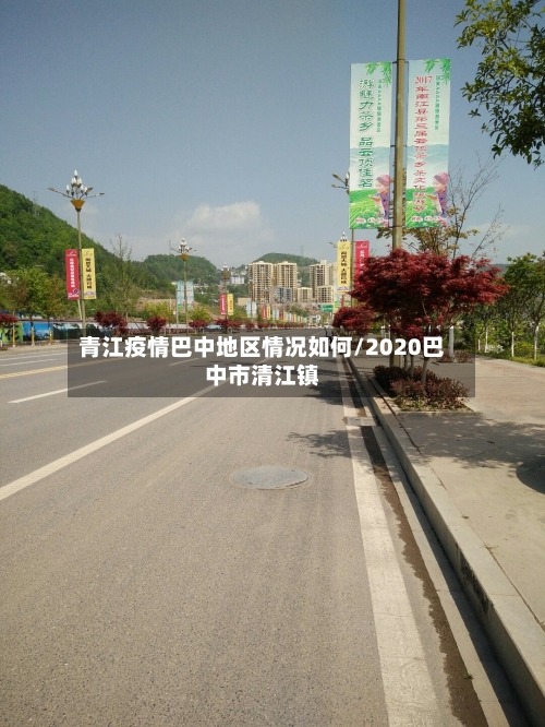 青江疫情巴中地区情况如何/2020巴中市清江镇
