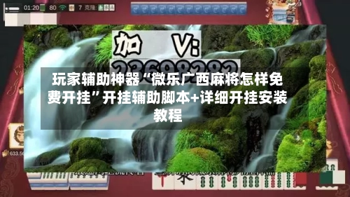 玩家辅助神器“微乐广西麻将怎样免费开挂”开挂辅助脚本+详细开挂安装教程-第3张图片