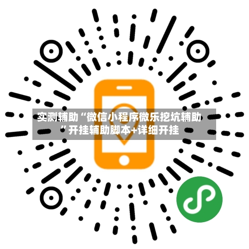 实测辅助“微信小程序微乐挖坑辅助	”开挂辅助脚本+详细开挂-第2张图片