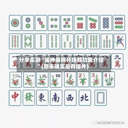 分享实测“雀神麻将开挂器功能介绍”(原来确实是有插件)-第2张图片