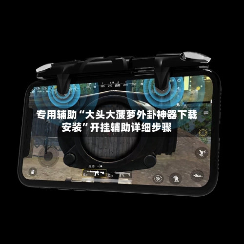 专用辅助“大头大菠萝外卦神器下载安装	”开挂辅助详细步骤-第2张图片