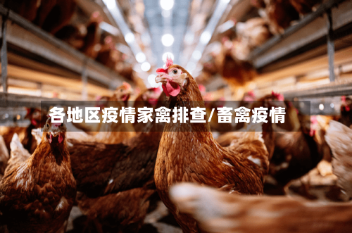 各地区疫情家禽排查/畜禽疫情-第2张图片