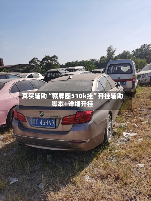 真实辅助“赣牌圈510k挂”开挂辅助脚本+详细开挂-第2张图片
