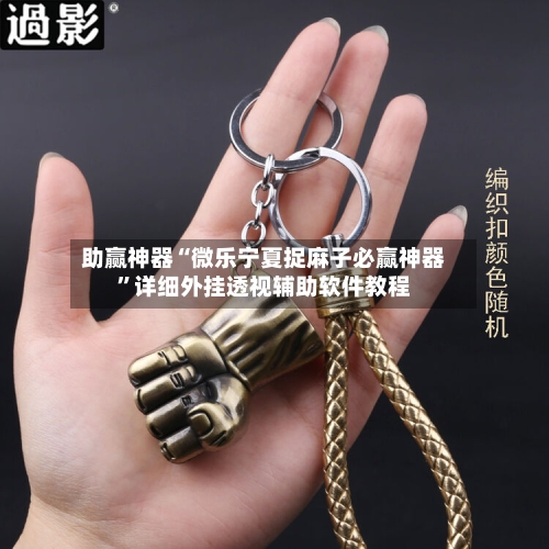 助赢神器“微乐宁夏捉麻子必赢神器”详细外挂透视辅助软件教程-第3张图片