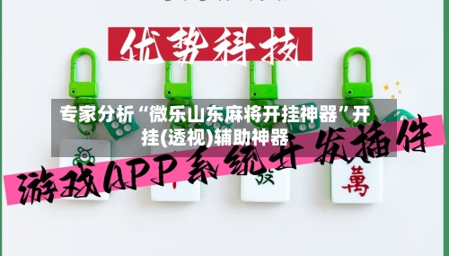 专家分析“微乐山东麻将开挂神器”开挂(透视)辅助神器-第3张图片