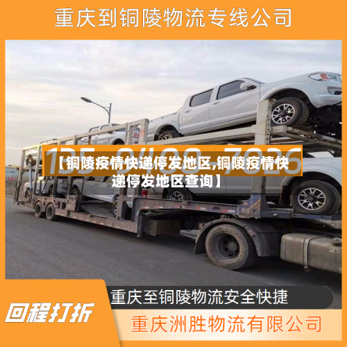 【铜陵疫情快递停发地区,铜陵疫情快递停发地区查询】-第2张图片