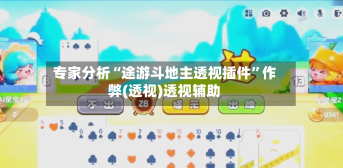 专家分析“途游斗地主透视插件”作弊(透视)透视辅助