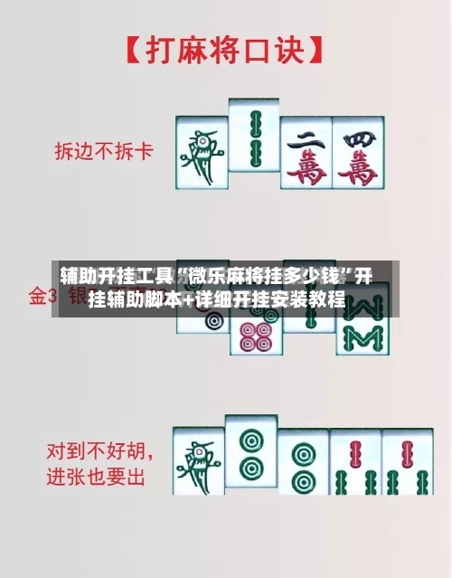 辅助开挂工具“微乐麻将挂多少钱”开挂辅助脚本+详细开挂安装教程-第2张图片