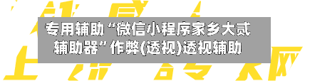 专用辅助“微信小程序家乡大贰辅助器	”作弊(透视)透视辅助-第2张图片