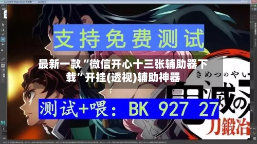 最新一款“微信开心十三张辅助器下载”开挂(透视)辅助神器-第2张图片