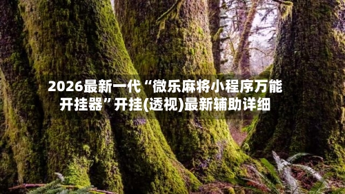 2026最新一代“微乐麻将小程序万能开挂器	”开挂(透视)最新辅助详细-第2张图片