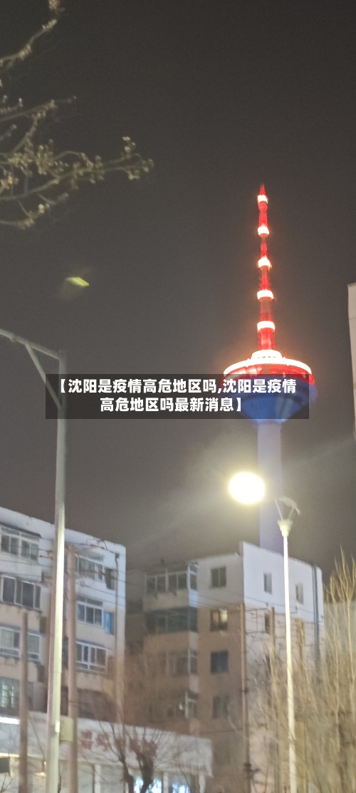 【沈阳是疫情高危地区吗,沈阳是疫情高危地区吗最新消息】