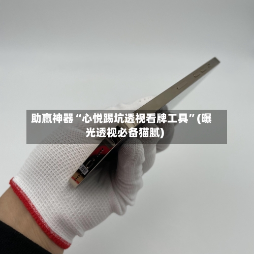 助赢神器“心悦踢坑透视看牌工具”(曝光透视必备猫腻)-第3张图片