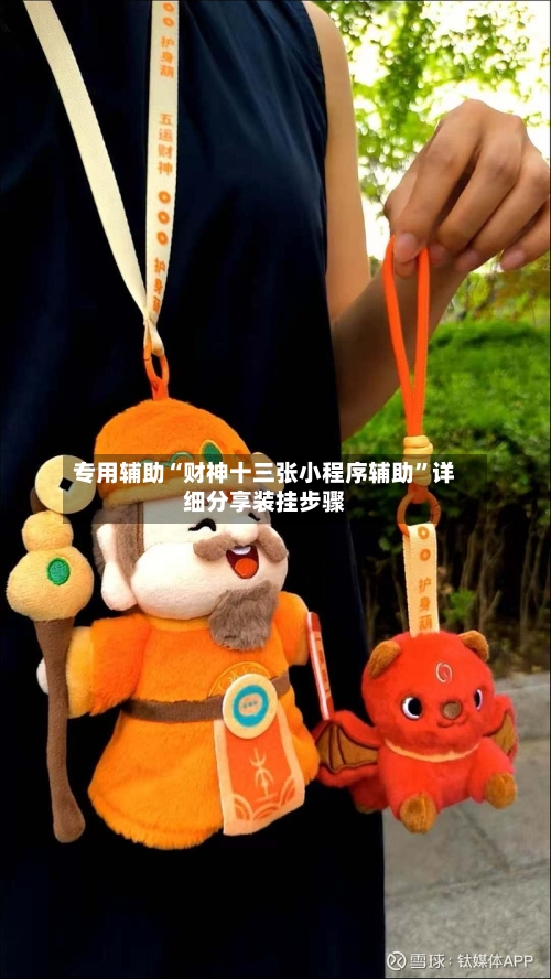 专用辅助“财神十三张小程序辅助	”详细分享装挂步骤-第2张图片