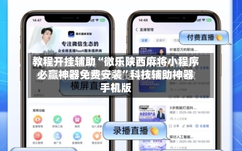 教程开挂辅助“微乐陕西麻将小程序必赢神器免费安装”科技辅助神器手机版-第2张图片