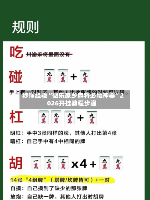 秒懂经验“微乐家乡麻将必赢神器”2026开挂教程步骤-第2张图片