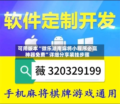 可用版本“微乐湖南麻将小程序必赢神器免费”详细分享装挂步骤-第3张图片