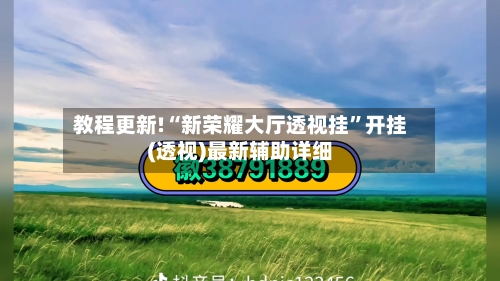教程更新!“新荣耀大厅透视挂	”开挂(透视)最新辅助详细-第2张图片